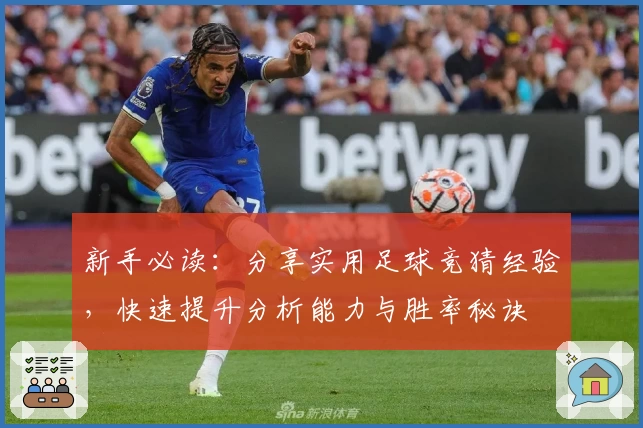 新手必读：分享实用足球竞猜经验，快速提升分析能力与胜率秘诀